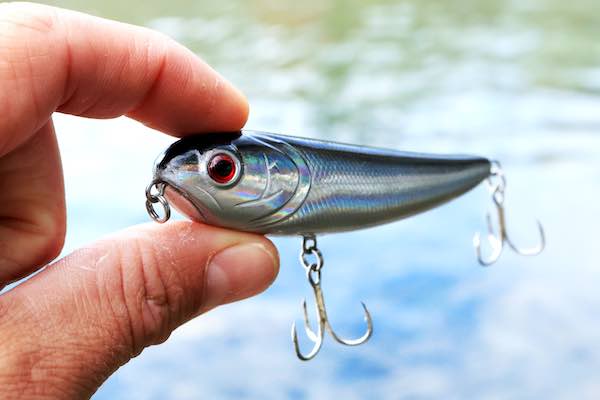 A fishing lure / phishing lure